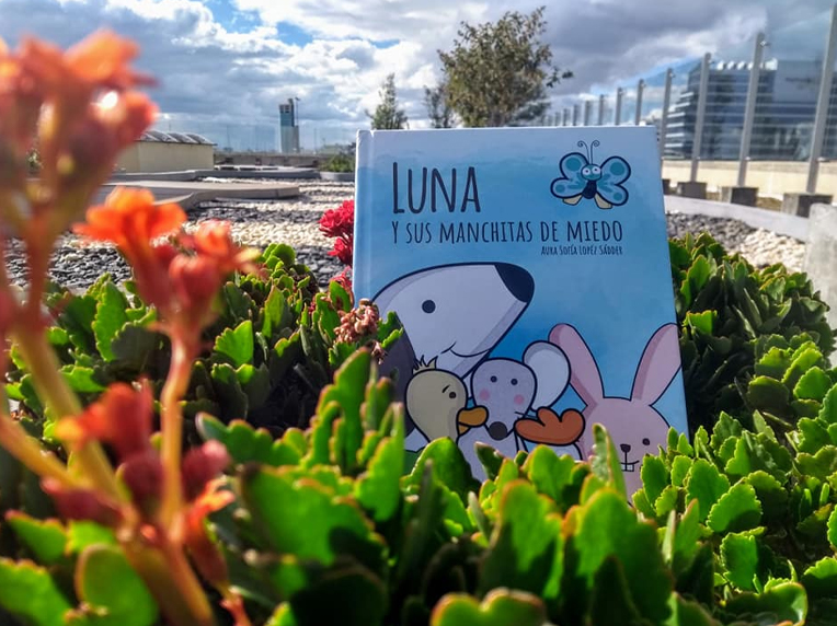 Colección Árbol de aventuras